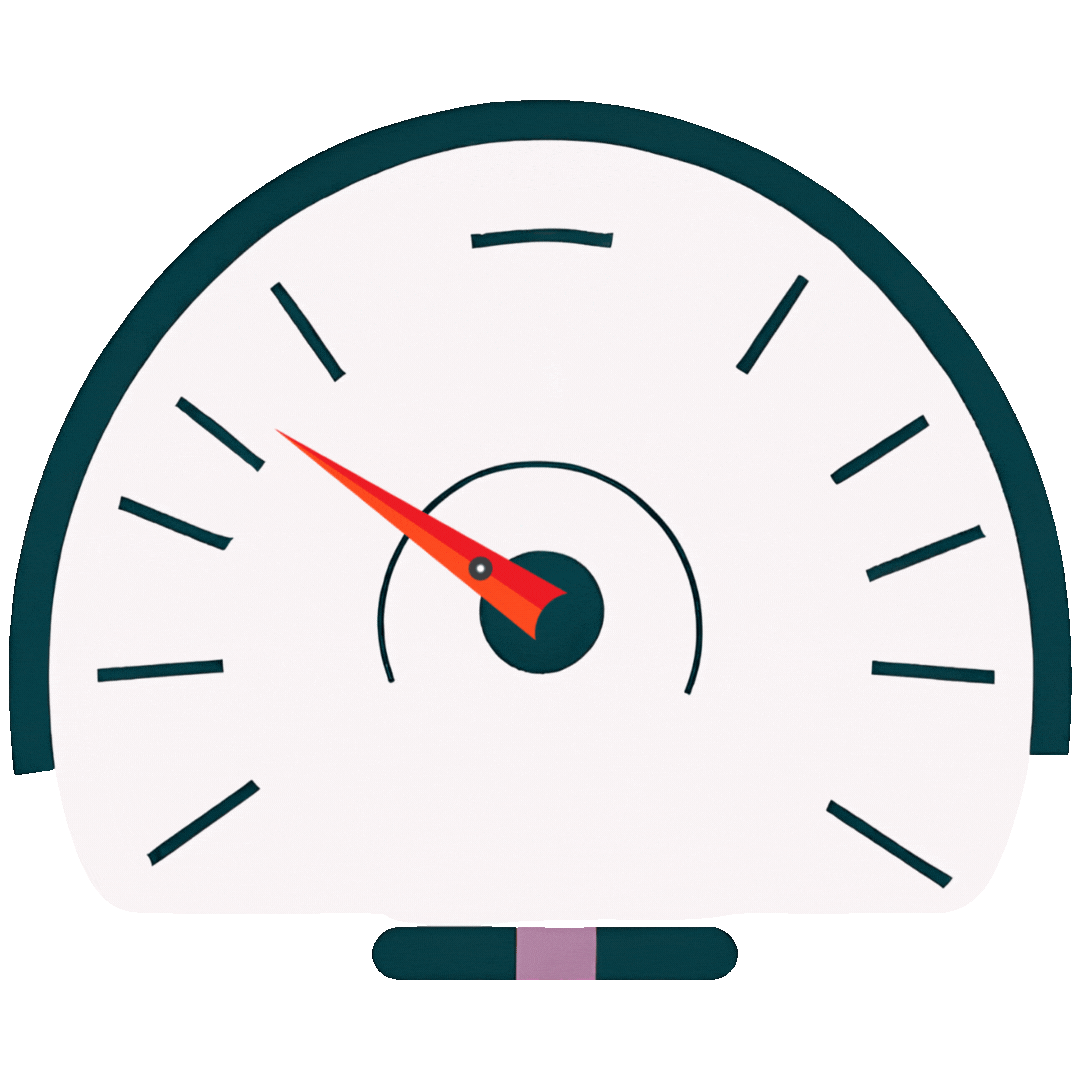 Speed icon